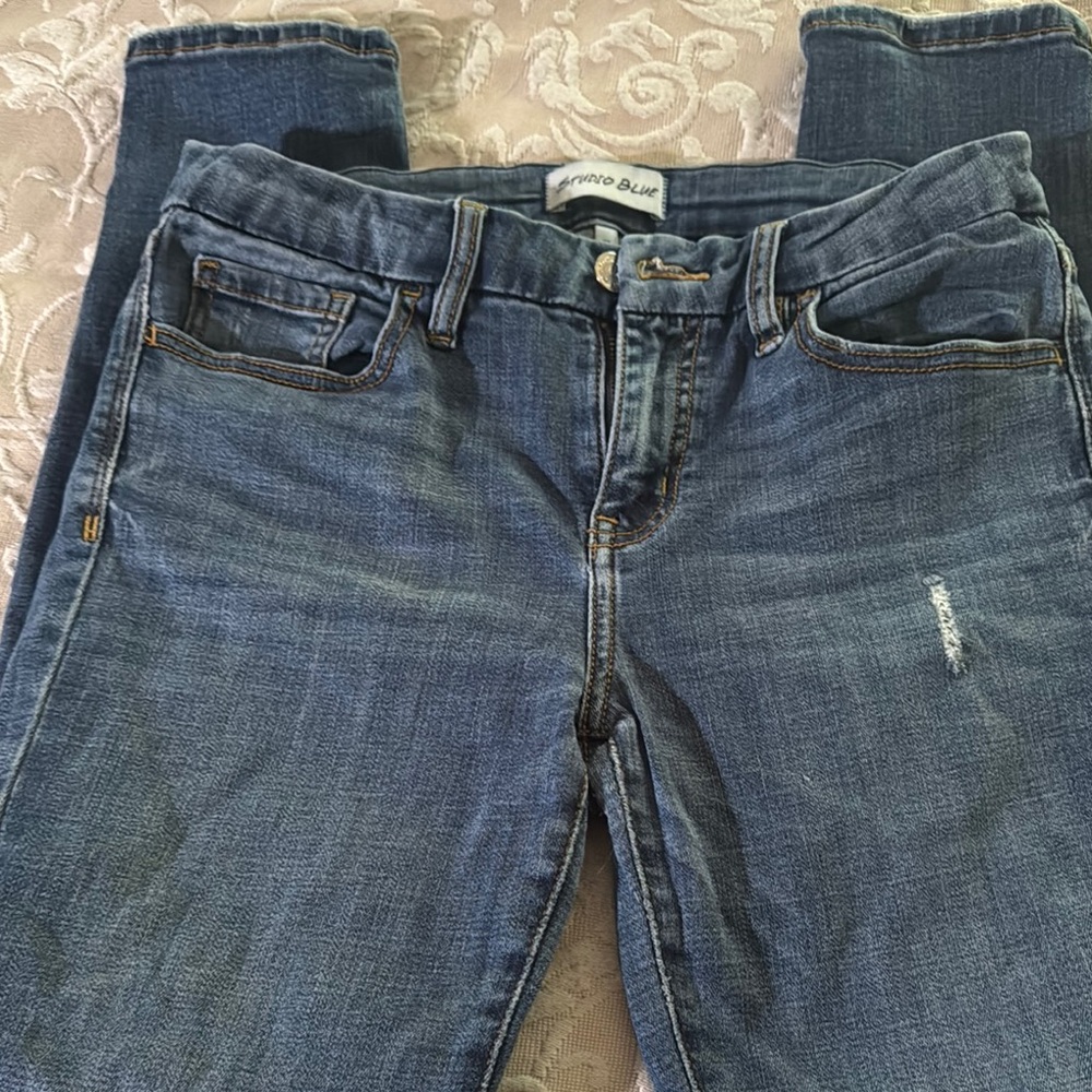 Studio Blue Skinny Jeans with Distressed Details
